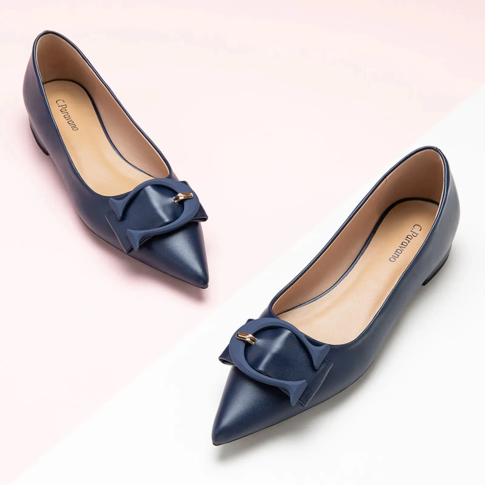 C Buckle Pointed Toe Flats (Aida) (SALE)