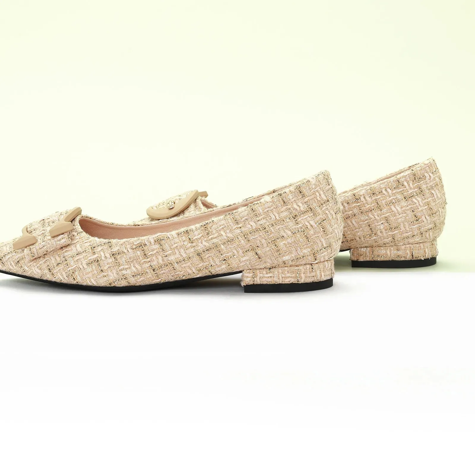 C Buckle Pointed Toe Flats (Aida) (SALE)