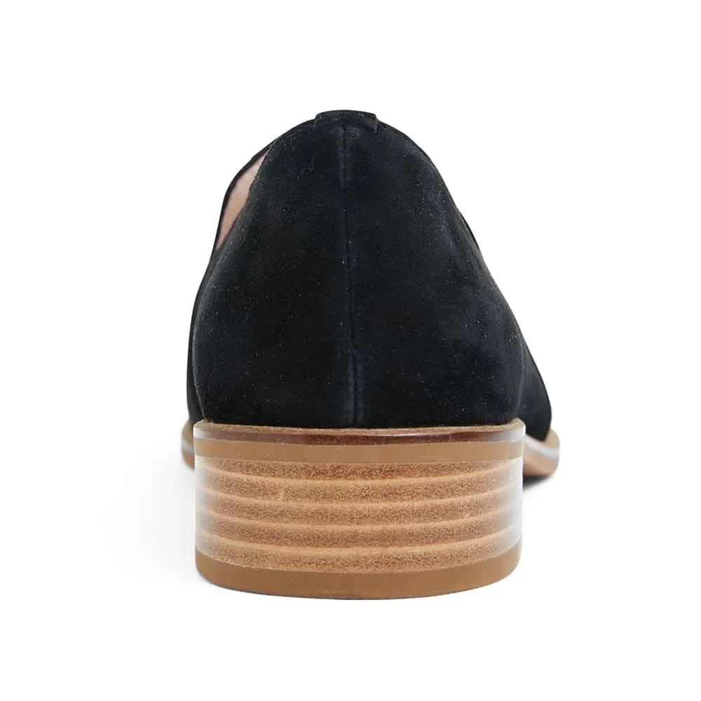 Everest Loafer in Black Suede