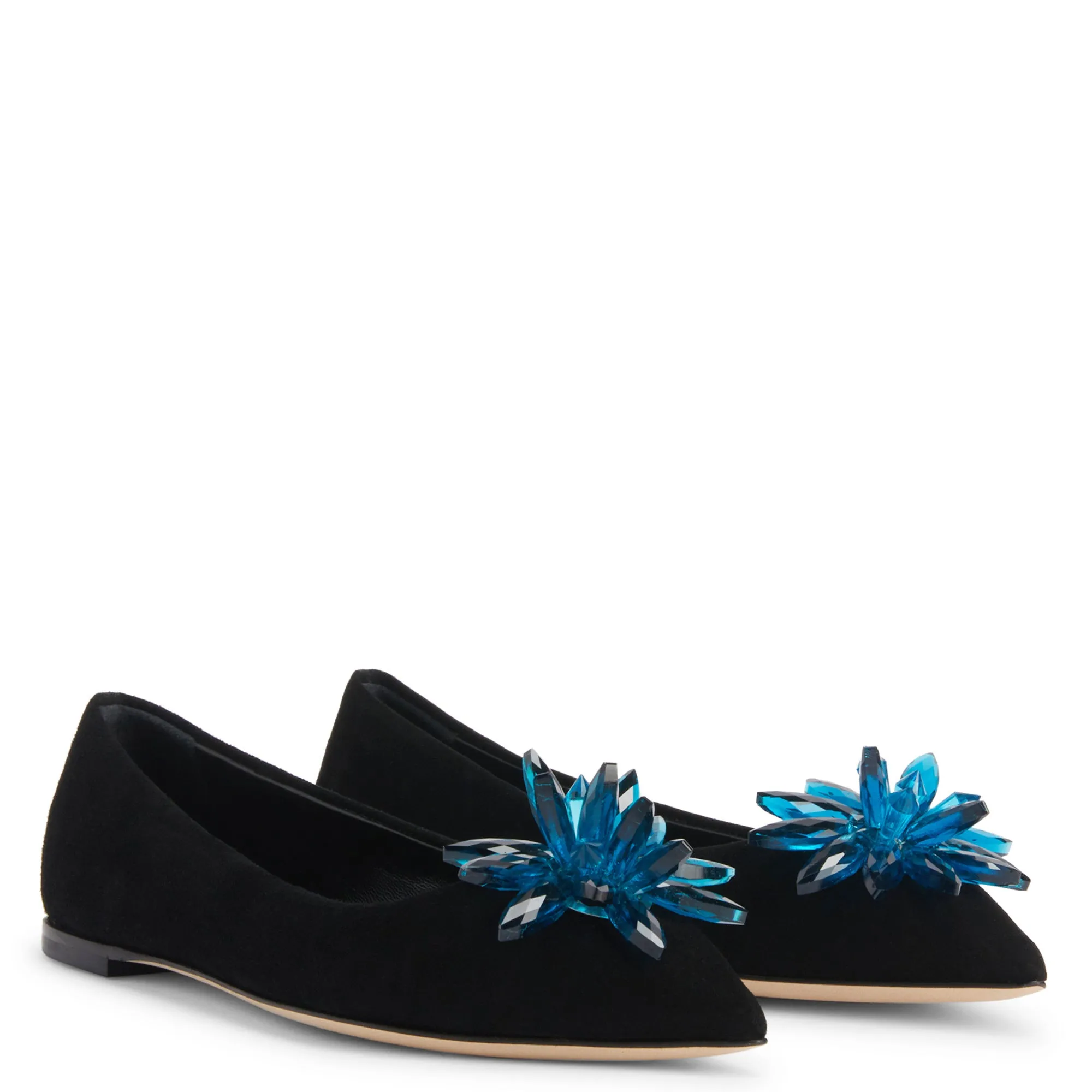 Giuseppe Zanotti Valliee