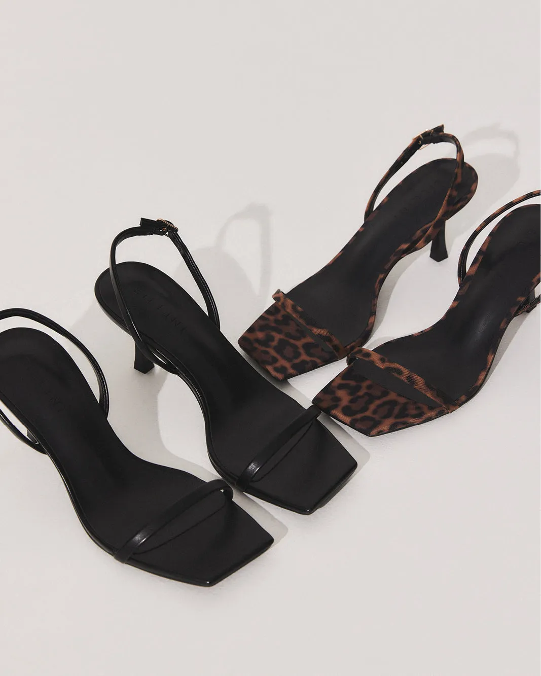 ISMENE - LEOPARD