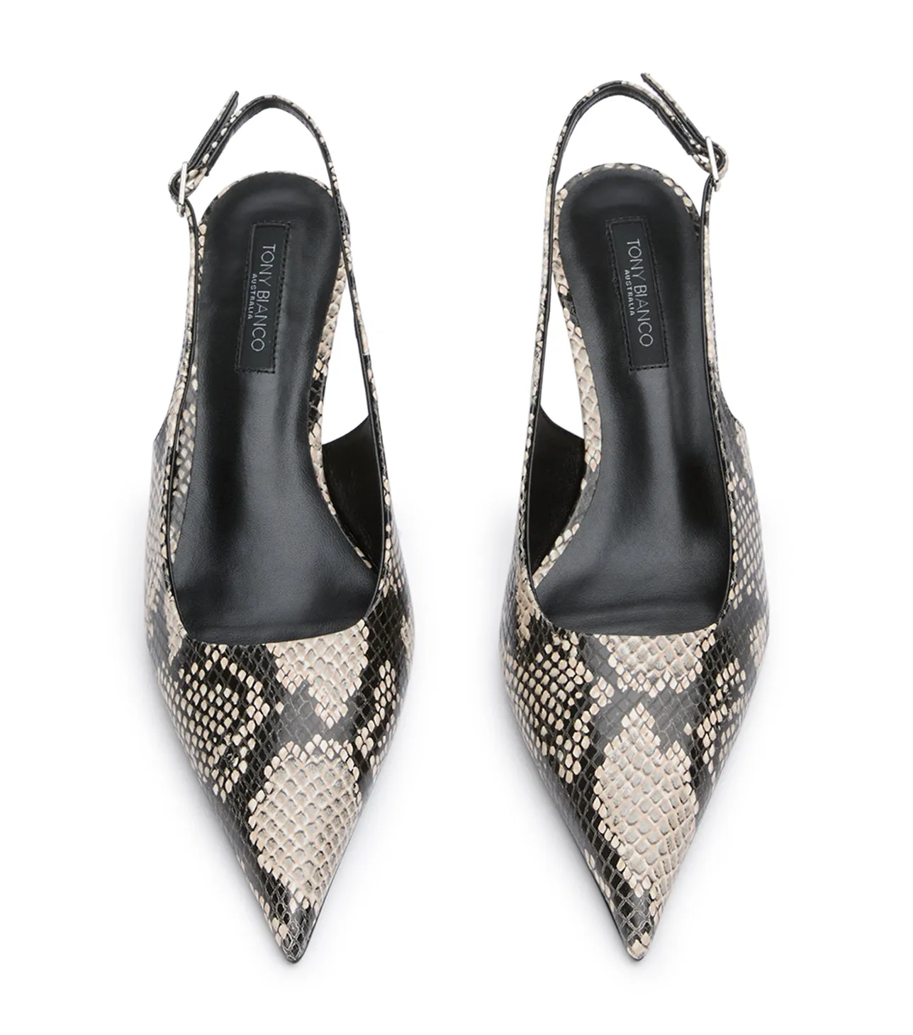 Kourt Ecru Snake