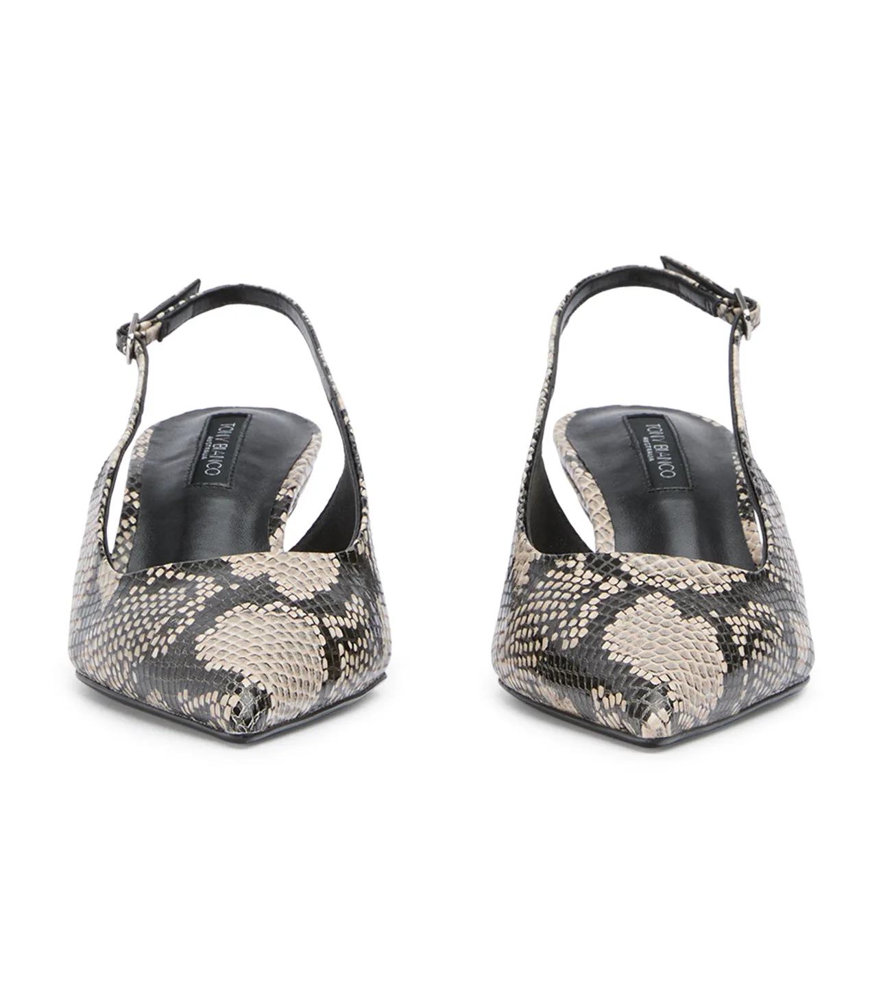 Kourt Ecru Snake
