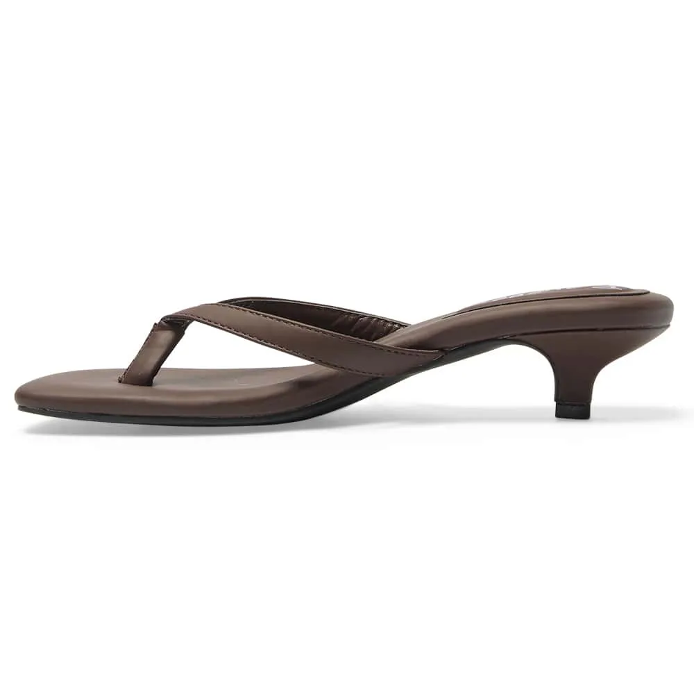 Malta Thongs in Chocolate Smooth