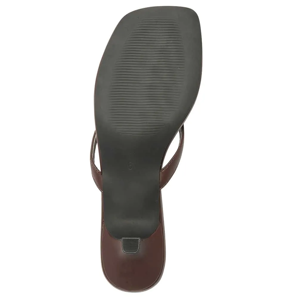 Malta Thongs in Chocolate Smooth