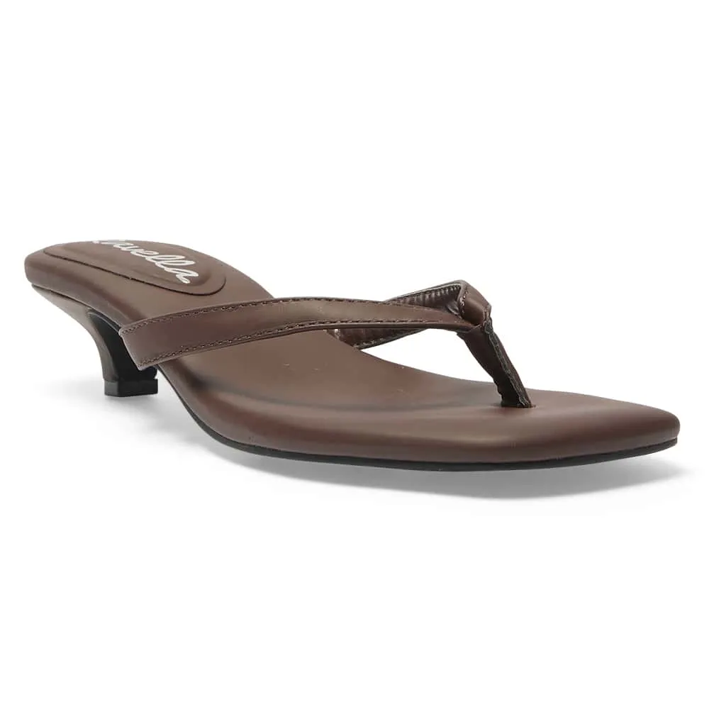 Malta Thongs in Chocolate Smooth