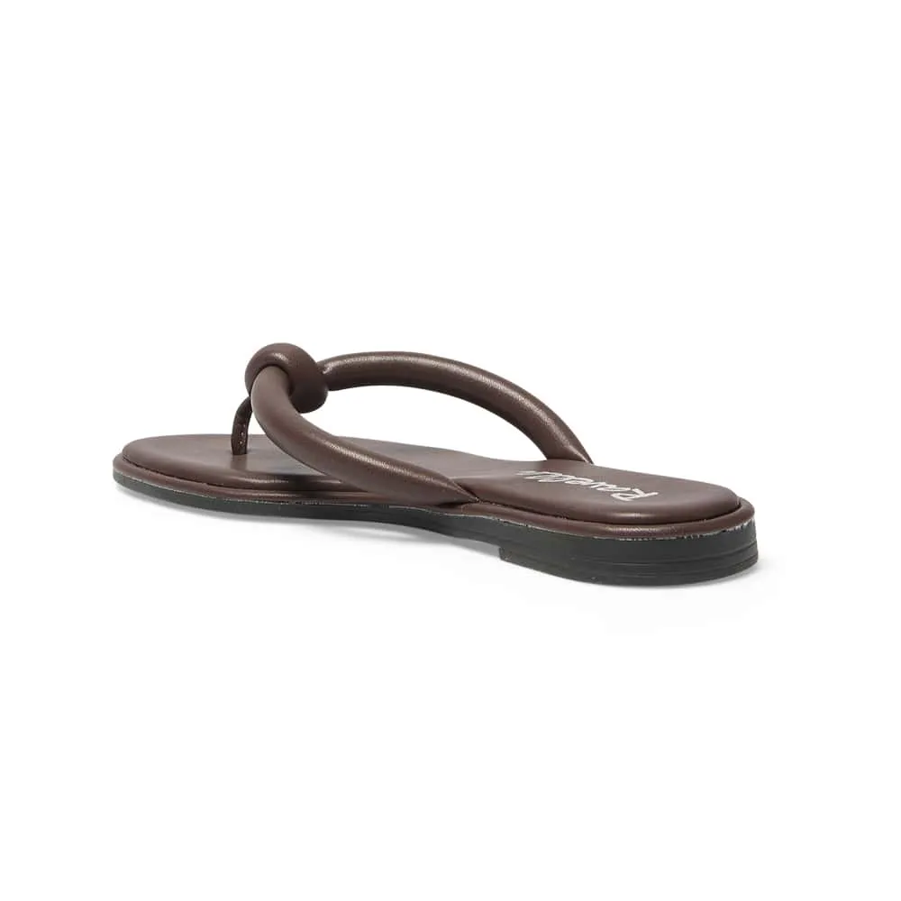Maui Thongs in Chocolate Smooth