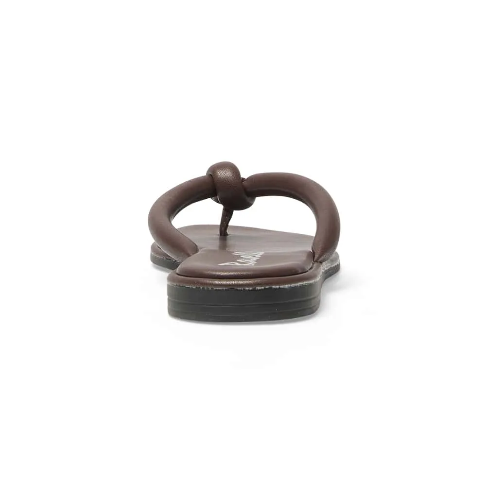 Maui Thongs in Chocolate Smooth