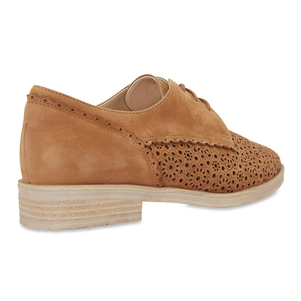Nero Brogue in Tan Nubuck