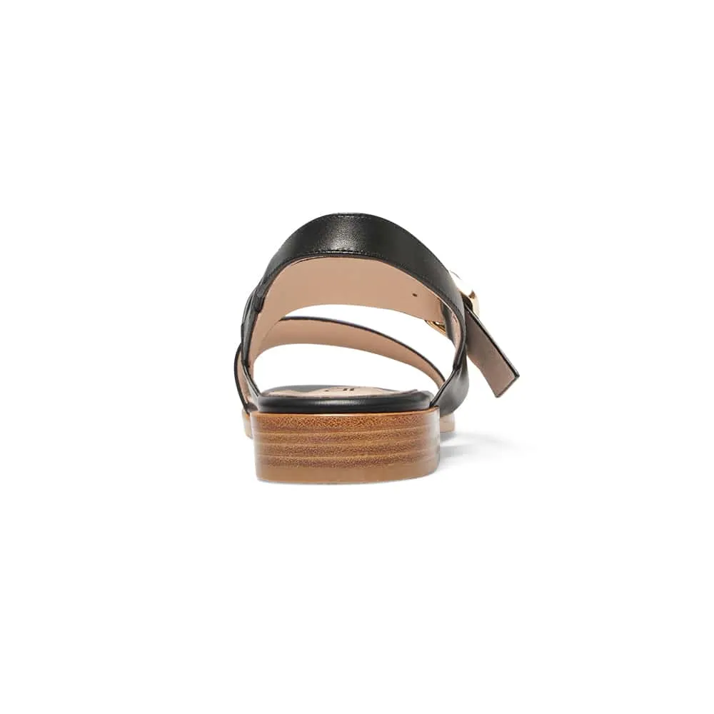 Tabatha Sandal in Black Leather